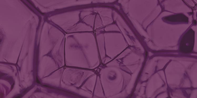 Life Metabolism: "A novel treatment option for T2D"